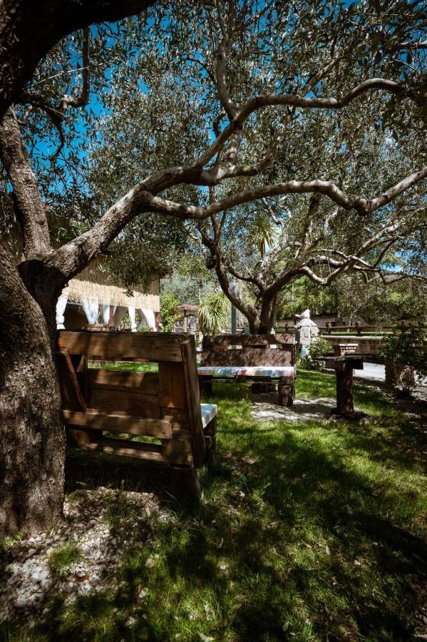 Agriturismo A Casa Di Susanna Santo Stefano del Sole 외부 사진
